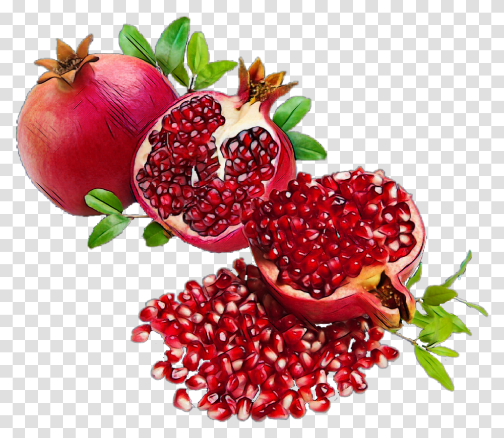 Background Pomegranate, Plant, Produce, Food, Fruit Transparent Png
