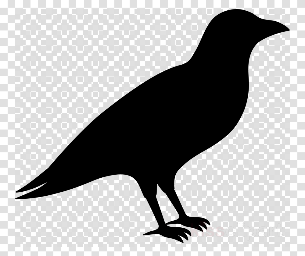 Background Price Tag, Silhouette, Bird, Animal, Blackbird Transparent Png