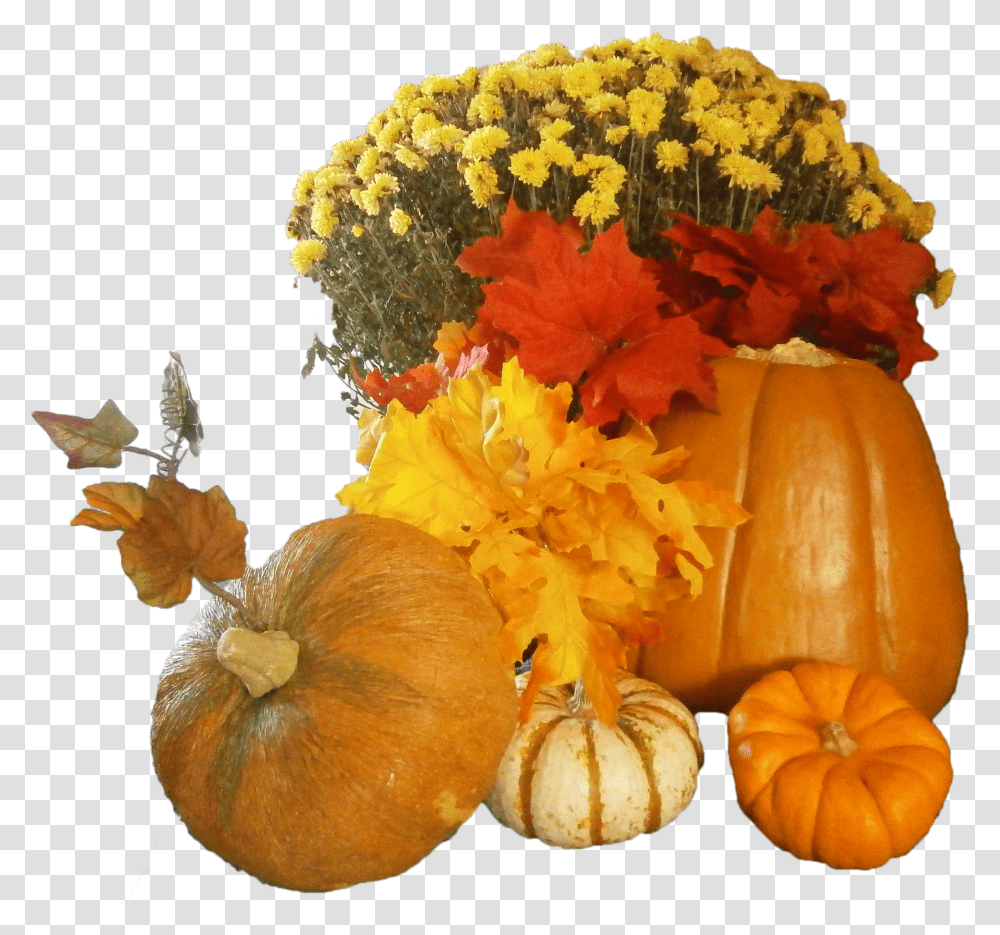 Background Pumpkin Transparent Png