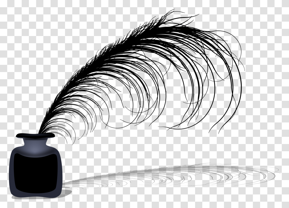 Background Quill Pen, Outdoors Transparent Png