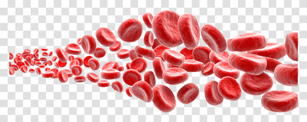 Background Red Blood Cells, Food, Plant, Grapefruit, Citrus Fruit Transparent Png