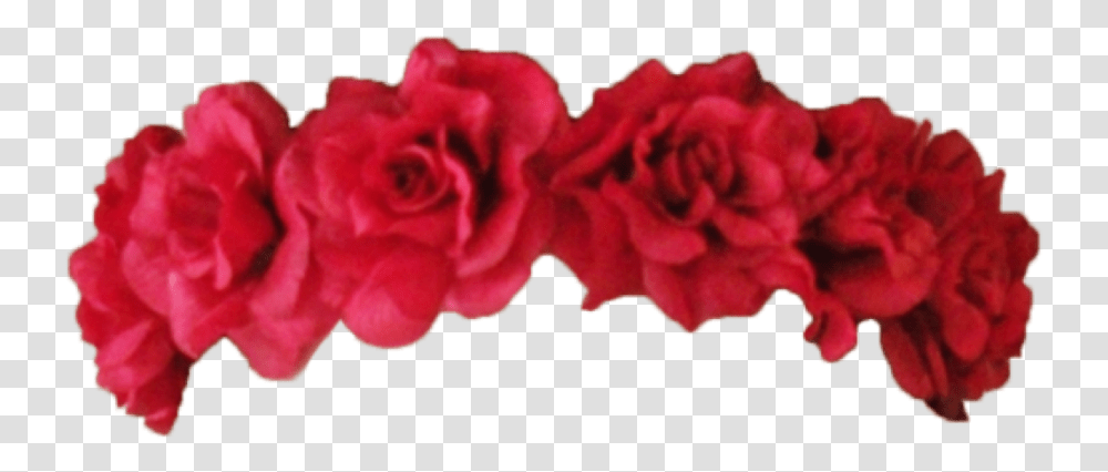 Background Red Flower Crown, Plant, Rose, Blossom, Carnation Transparent Png