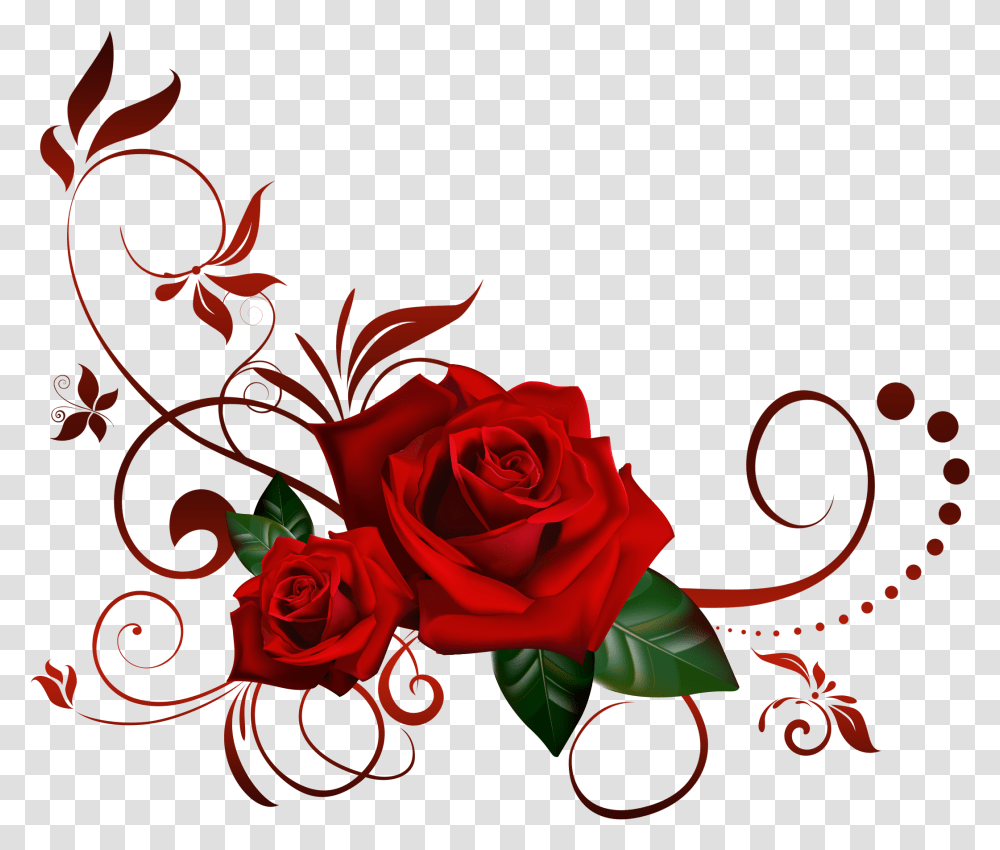 Background Rose Hd, Flower, Plant Transparent Png