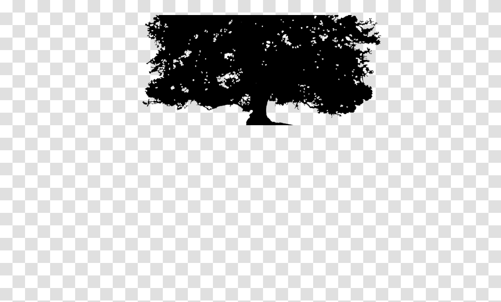 Background Silhouette Oak Tree, Plant, Leaf, Stencil Transparent Png