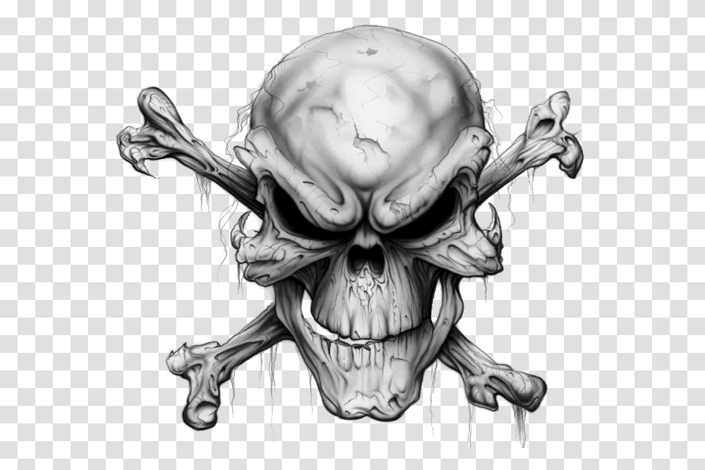 Background Skull, Person, Human, Drawing Transparent Png