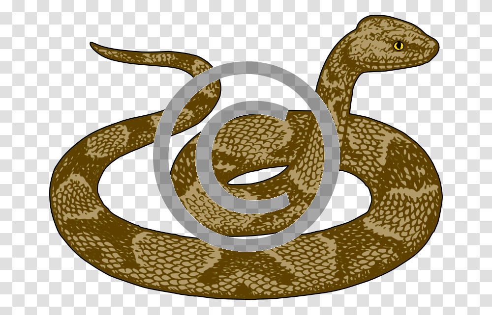 Background Snake Clipart, Reptile, Animal, Rug, Tape Transparent Png