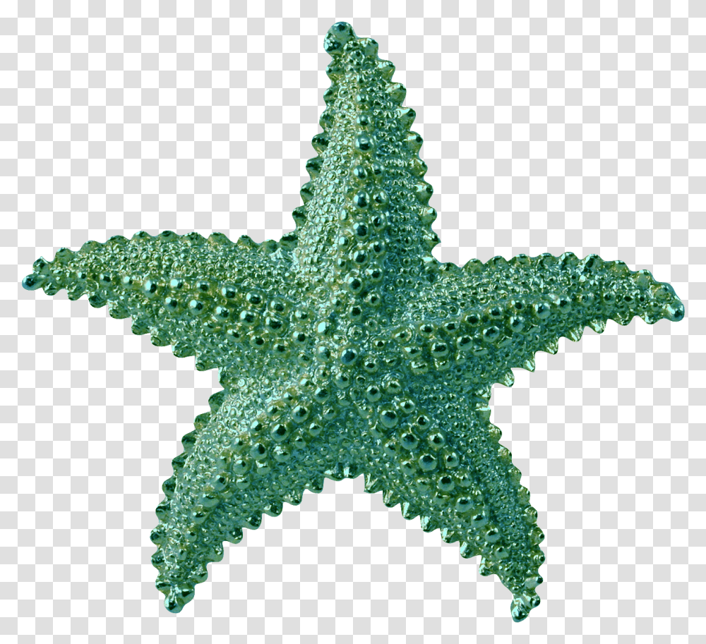 Background Starfish Background Starfish Clipart, Sea Life, Animal, Invertebrate, Star Symbol Transparent Png