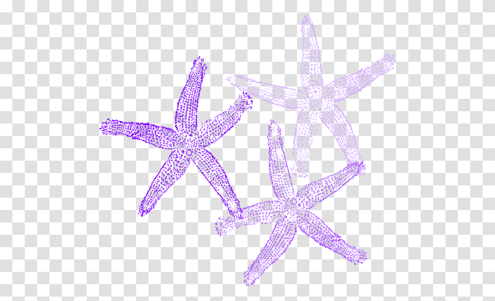 Background Starfish Clip Art, Invertebrate, Sea Life, Animal, Star Symbol Transparent Png