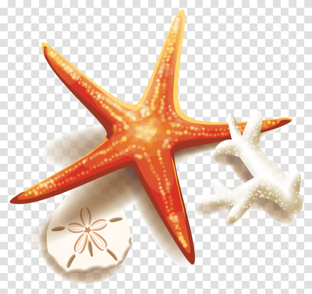 Background Starfish Clip Art, Sea Life, Animal, Invertebrate, Axe Transparent Png