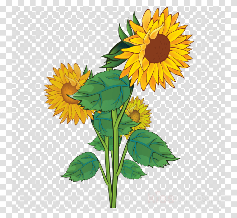 Background Sunflower Clipart, Plant, Blossom, Floral Design Transparent Png
