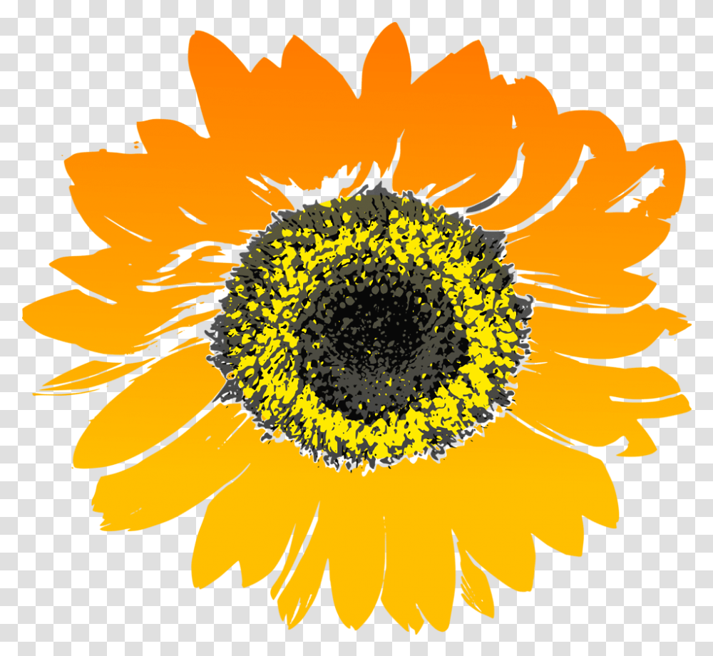 Background Sunflower Clipart Watercolor, Plant, Blossom, Daisy, Daisies Transparent Png