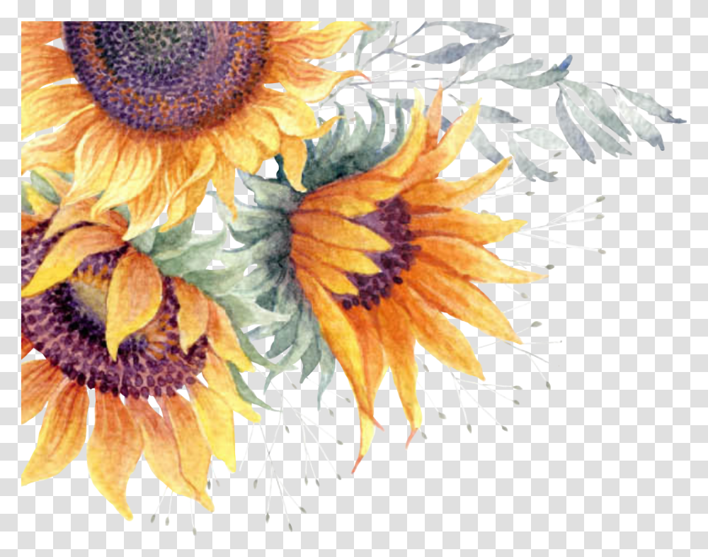 Background Sunflower, Plant, Blossom, Bird, Animal Transparent Png