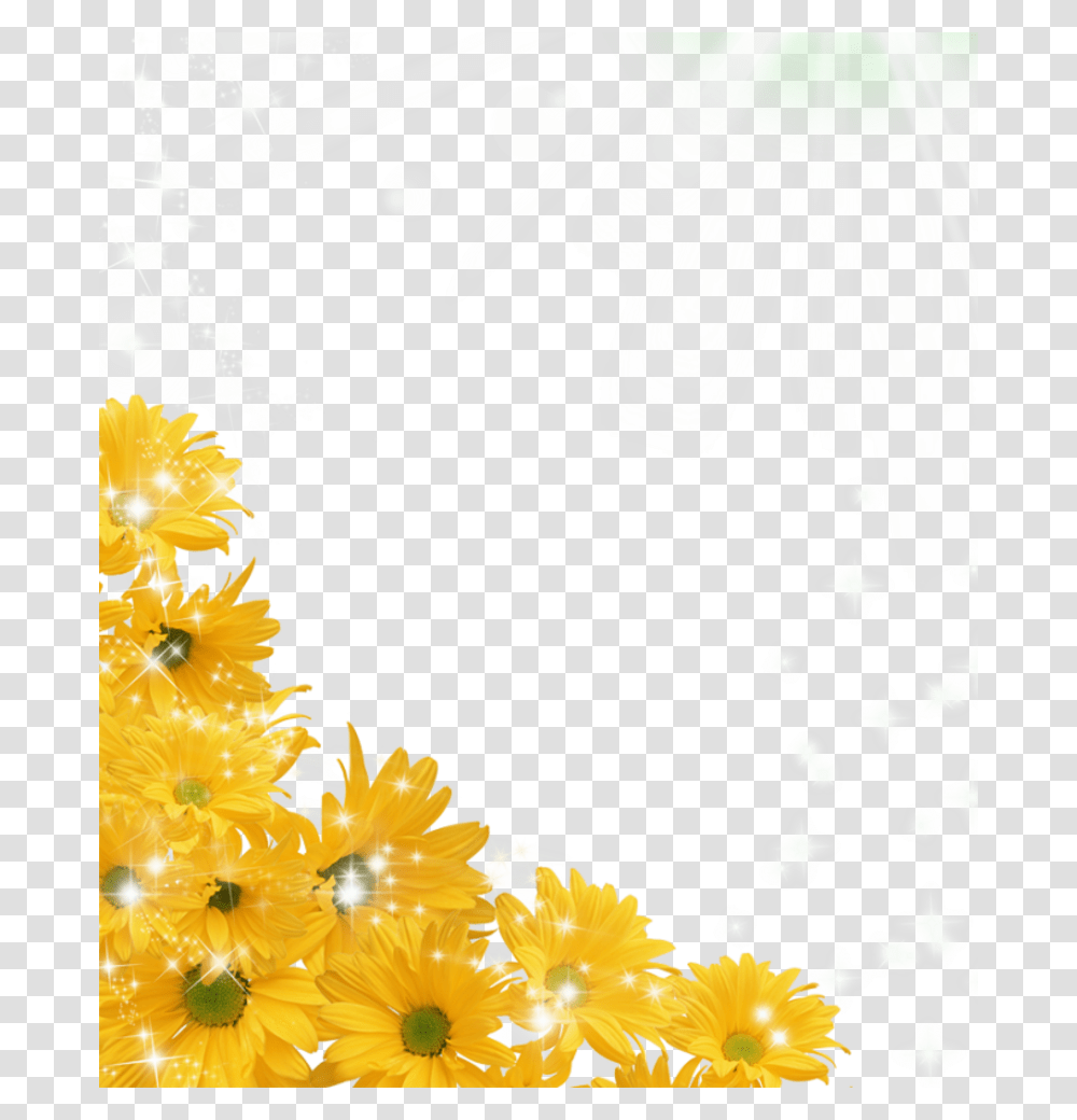 Background Sunflowers, Plant, Pollen, Blossom, Daisy Transparent Png