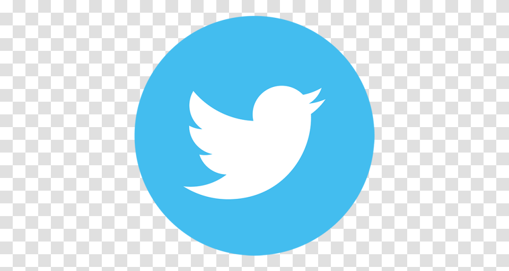 Background Templates Twitter Logo Background, Symbol, Trademark, Text, Animal Transparent Png