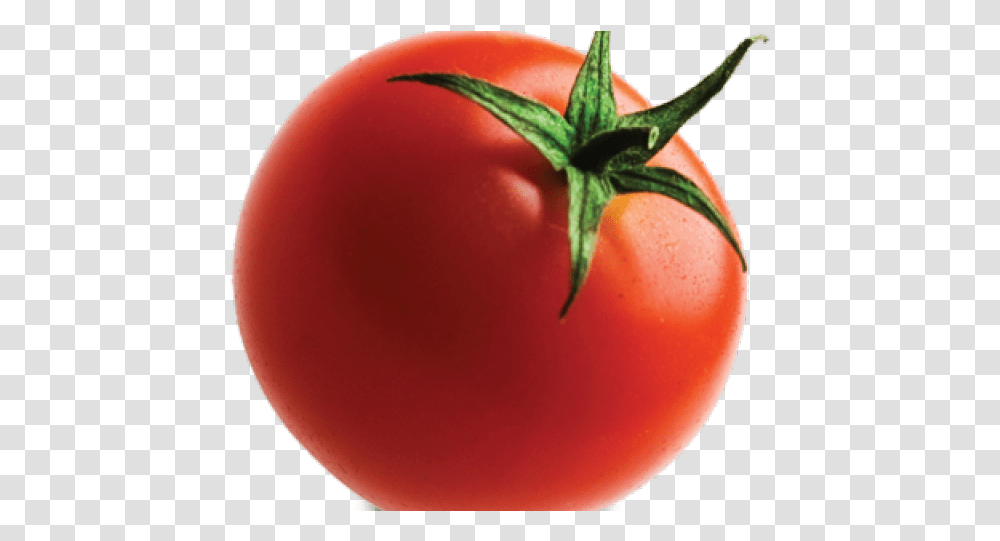 Background Tomato, Plant, Vegetable, Food, Balloon Transparent Png