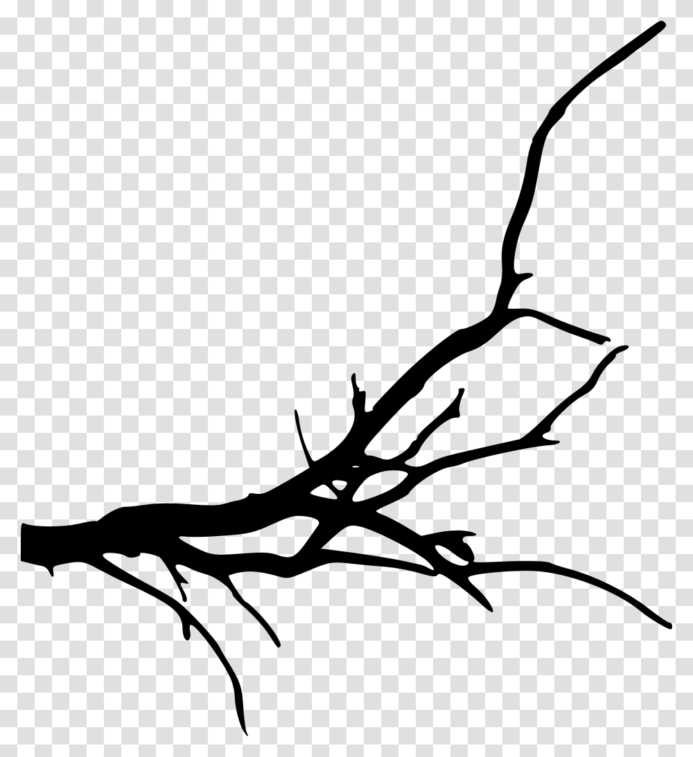 Background Tree Branch, Insect, Invertebrate, Animal, Stencil Transparent Png