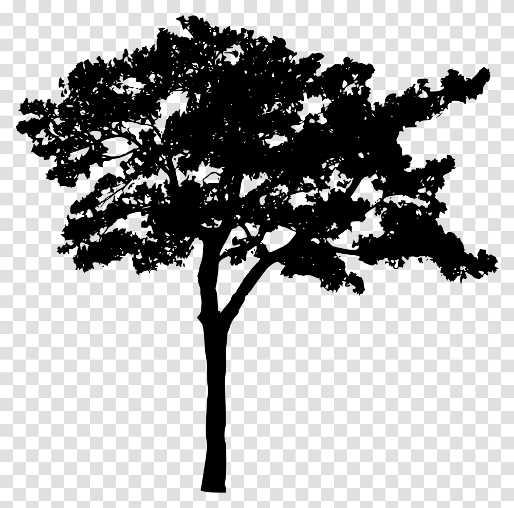 Background Tree Silhouette, Plant, Tree Trunk, Stencil, Cross Transparent Png