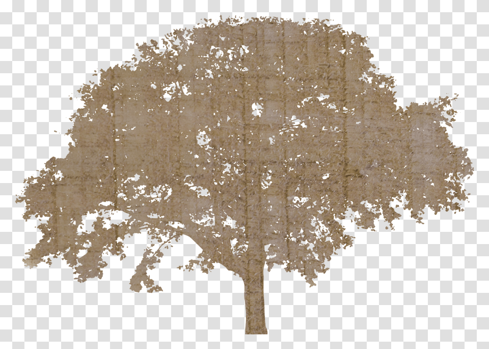 Background Tree Silhouette Transparent Png