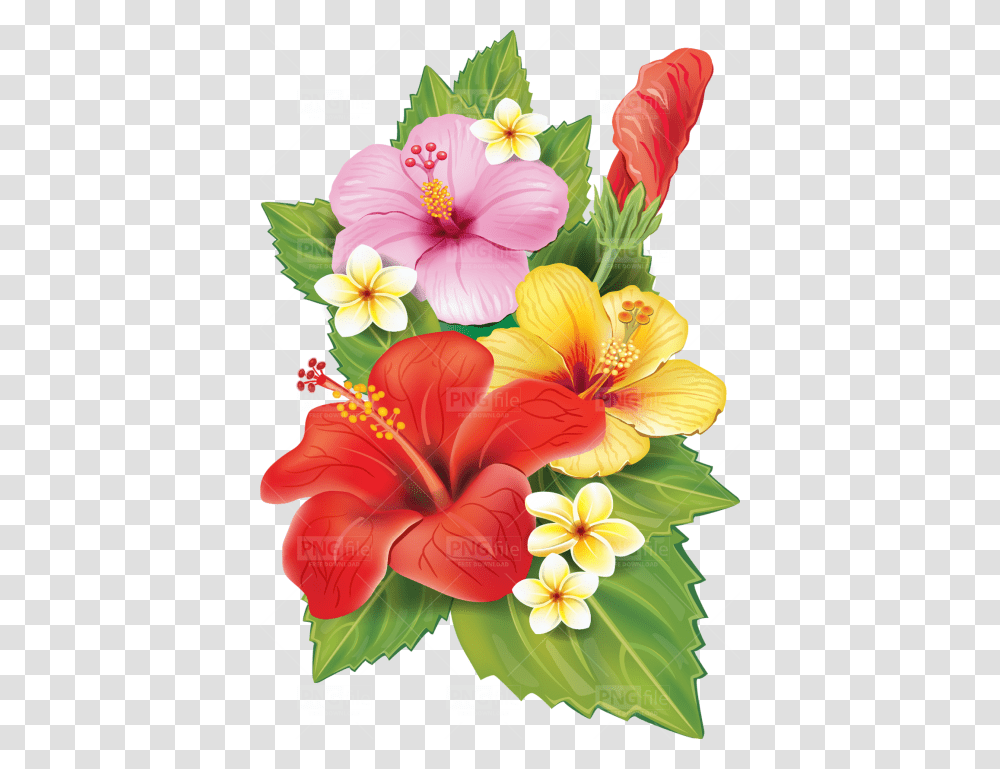 Background Tropical Flowers, Plant, Hibiscus, Blossom Transparent Png