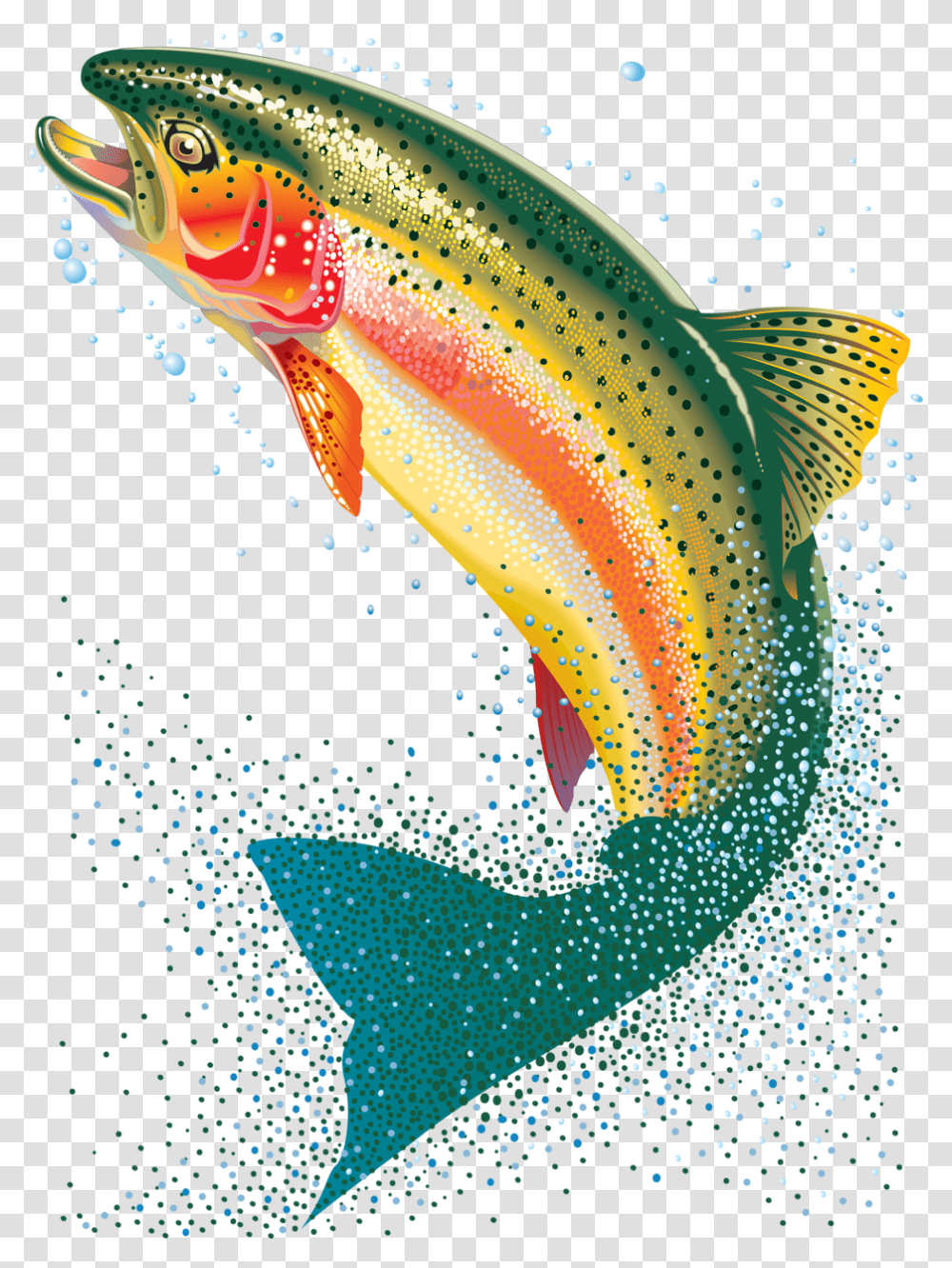 Background Trout Clipart Download Background Trout Fish, Animal, Sea Life Transparent Png