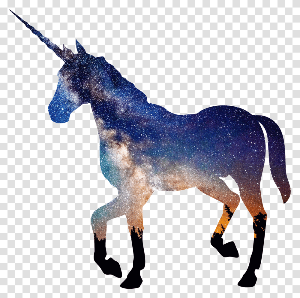 Background Unicorn, Mammal, Animal, Horse, Donkey Transparent Png