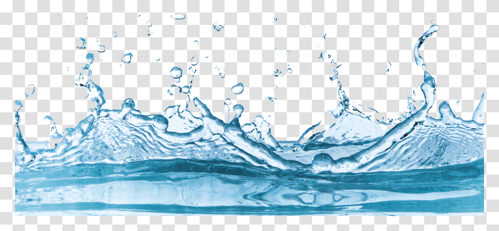 Background Water Splash, Outdoors, Bird, Animal, Droplet Transparent Png