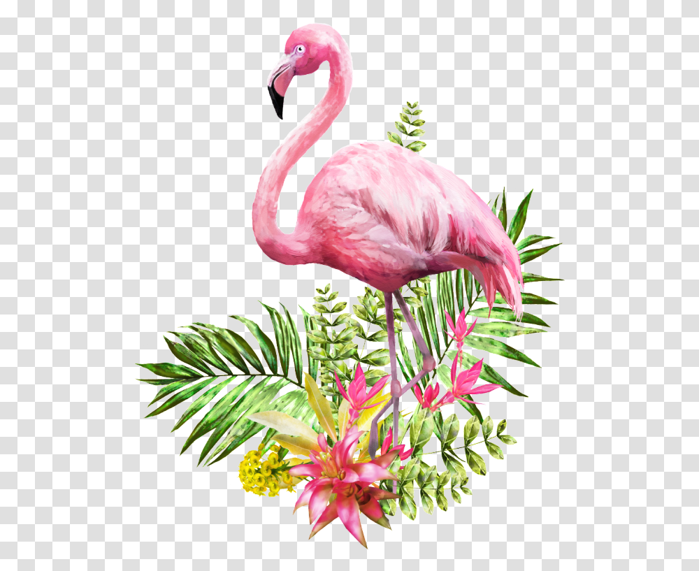 Background Watercolor Background Flamingo, Bird, Animal Transparent Png