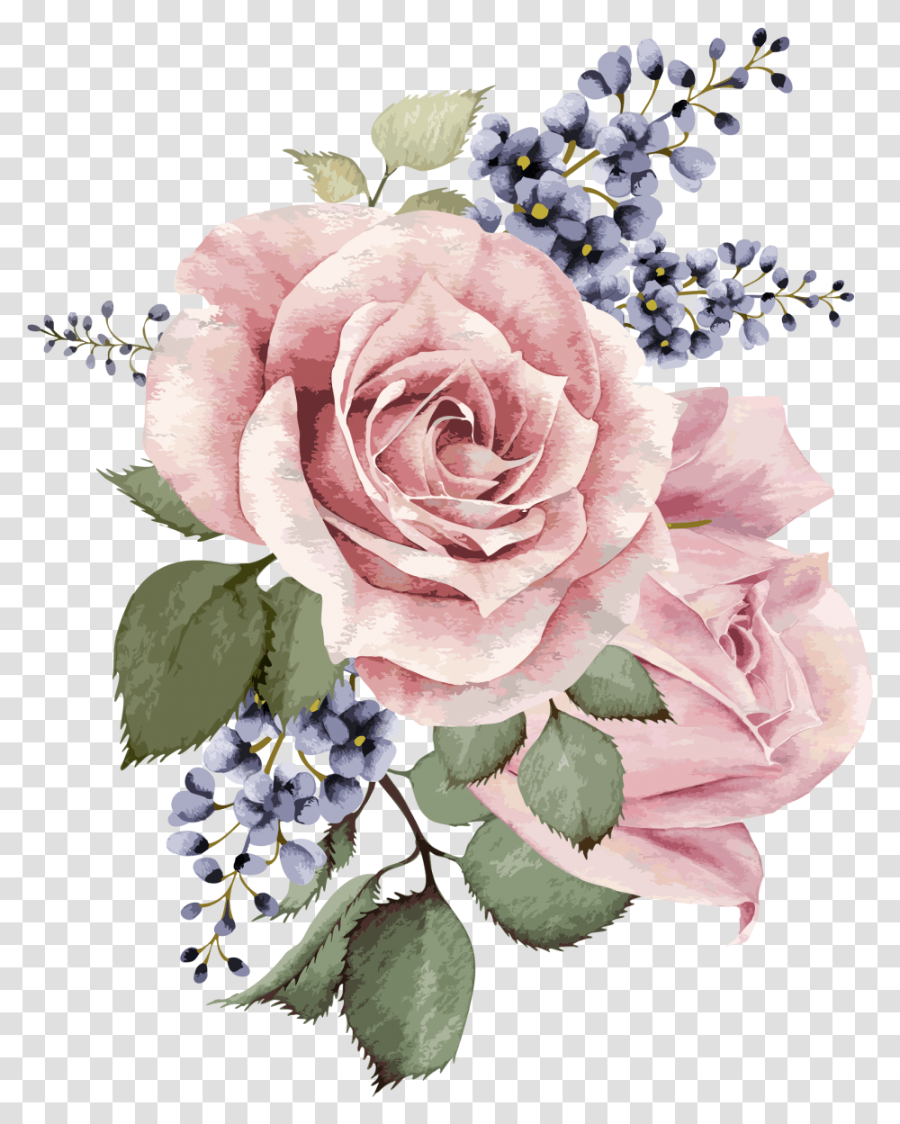 Background Watercolor Flower, Plant, Rose, Blossom, Flower Arrangement Transparent Png