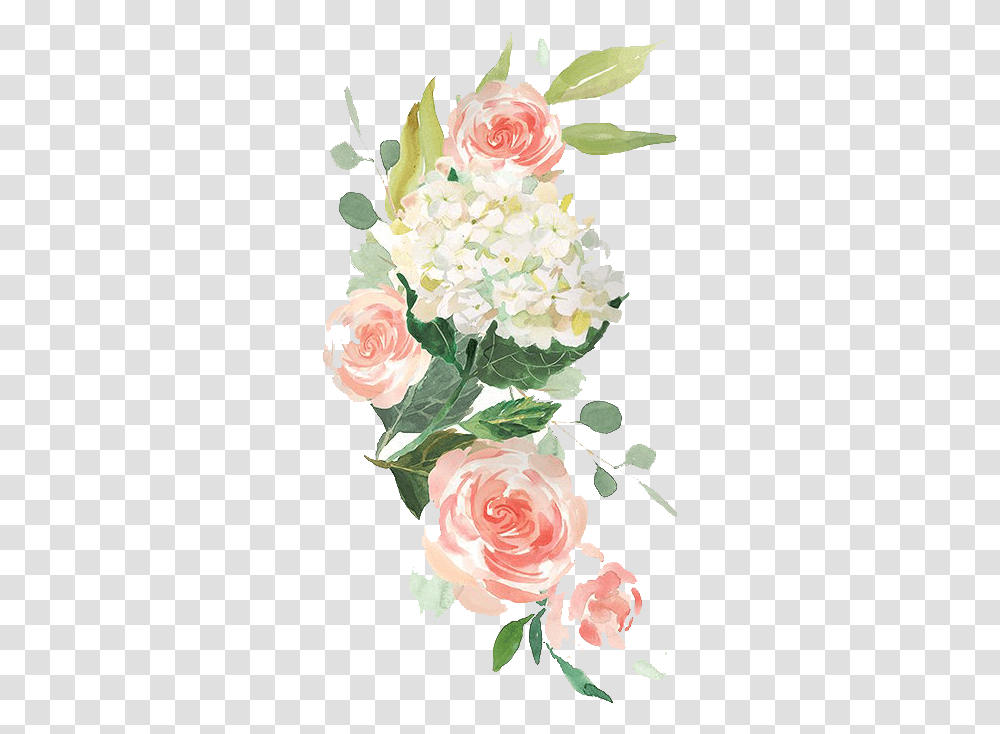 Background Watercolour Flower, Plant, Blossom, Rose, Geranium Transparent Png