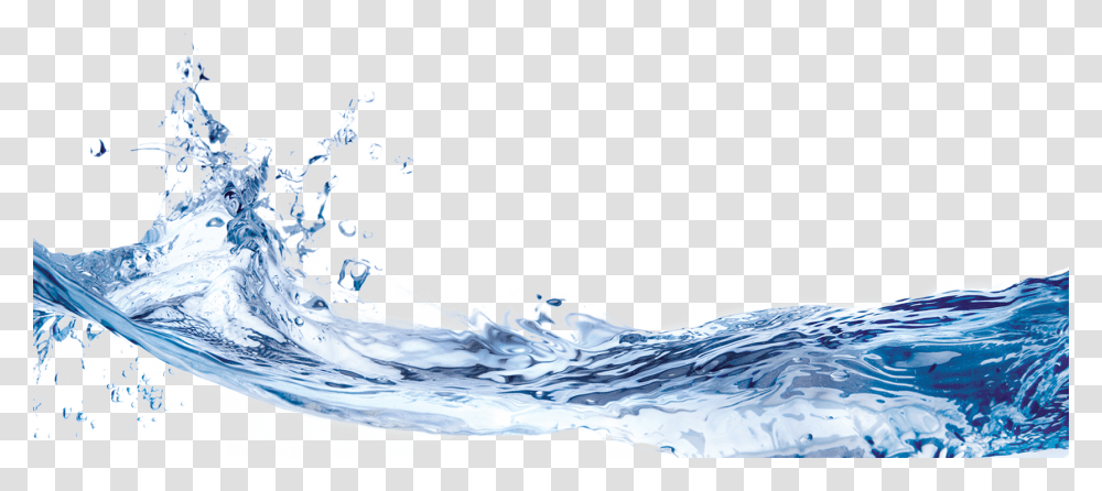 Background Wave, Water, Bottle, Bird, Animal Transparent Png