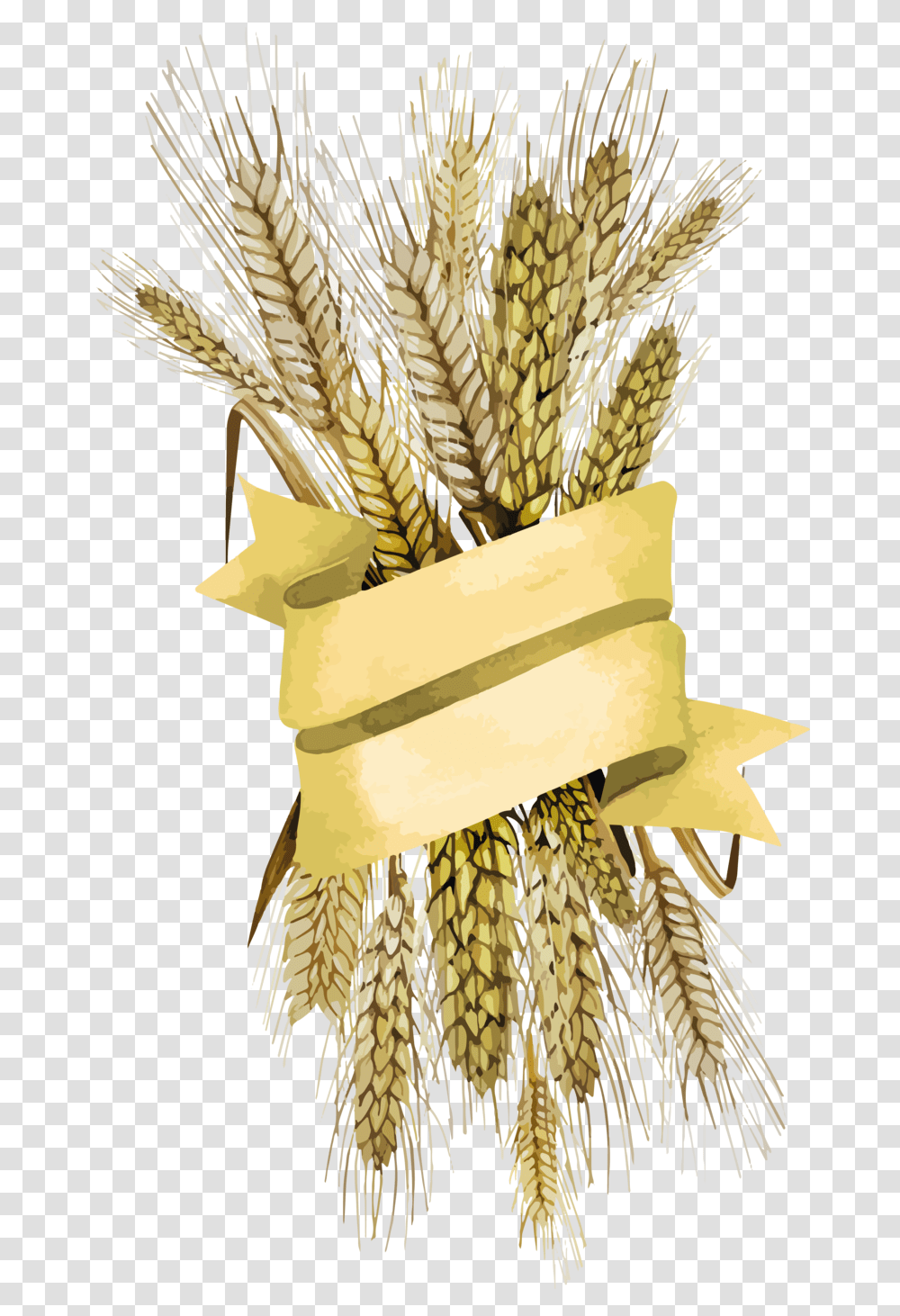 Background Wheat Background Free Wheat, Plant, Vegetable, Food, Bird Transparent Png