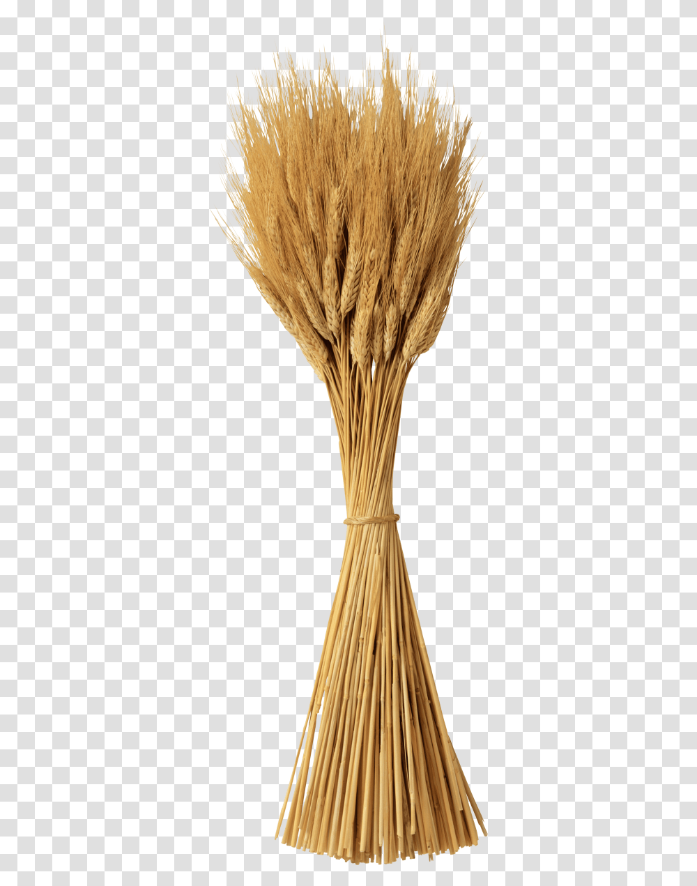 Background Wheat Clipart, Plant, Broom, Nature, Outdoors Transparent Png