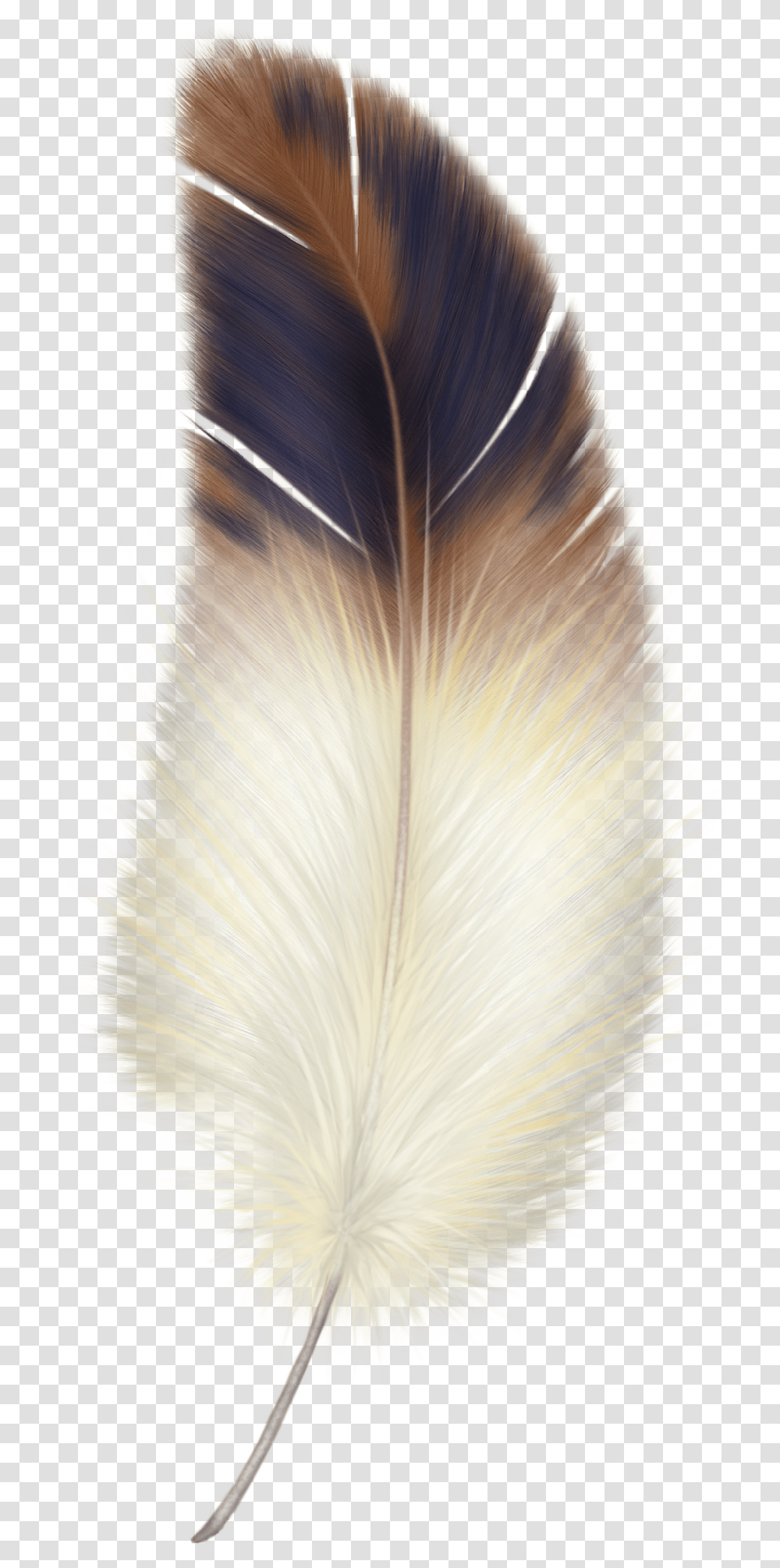 Background White And Brown Feather, Art, Bird, Graphics, Plant Transparent Png