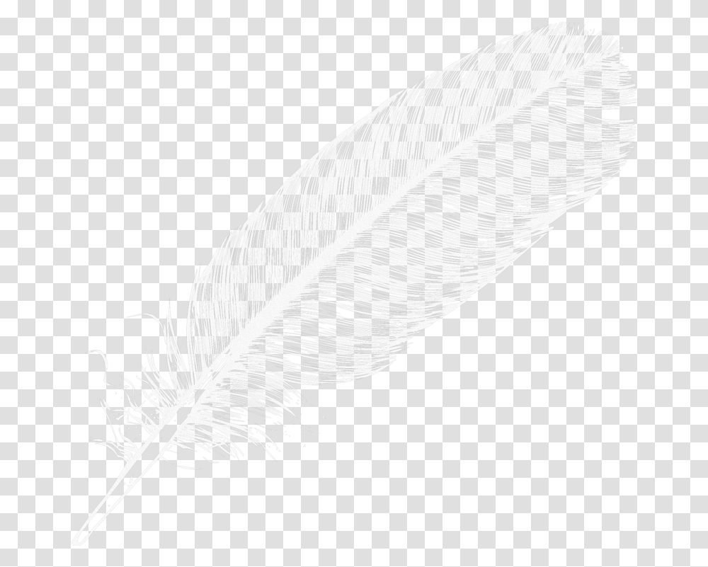 Background White Feather, Bird, Drawing, Bottle Transparent Png