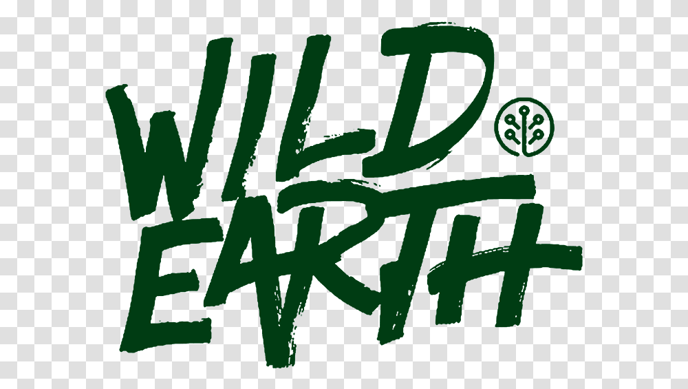 Background Wild Earth Calligraphy, Word, Handwriting, Alphabet Transparent Png