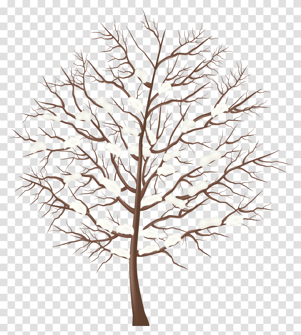 Background Winter Trees Clipart Snow, Plant, Flower, Light, Lighting Transparent Png