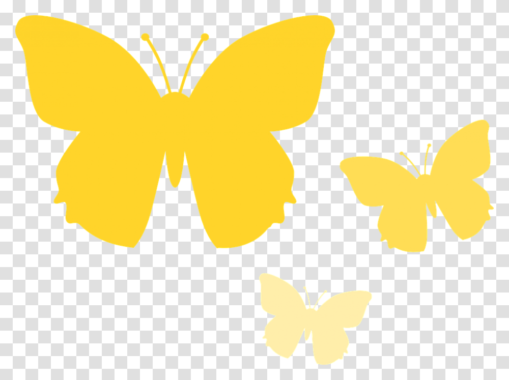 Background Yellow Butterflies Clipart, Insect, Invertebrate, Animal, Butterfly Transparent Png