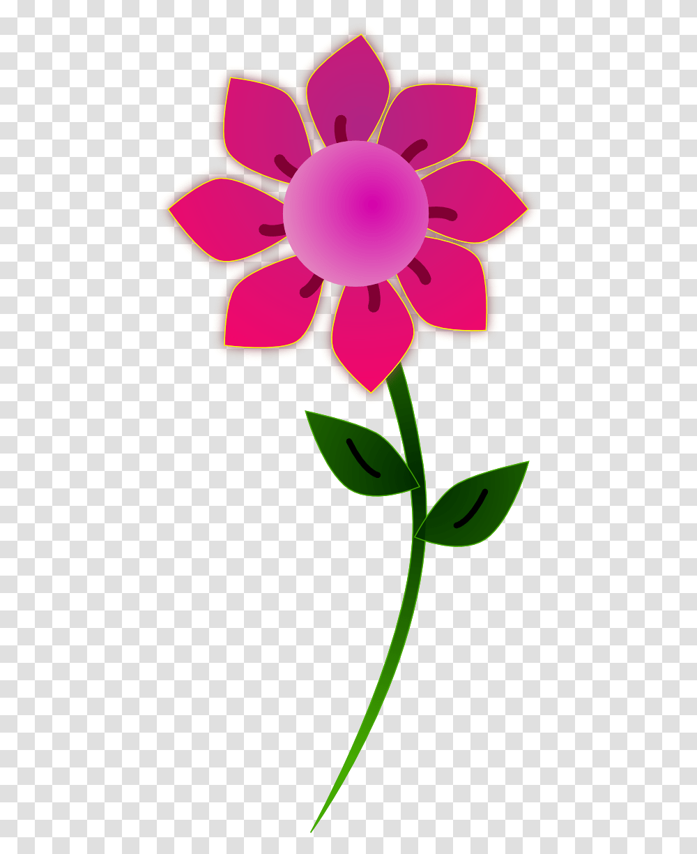Backgrounds, Plant, Flower, Floral Design, Pattern Transparent Png