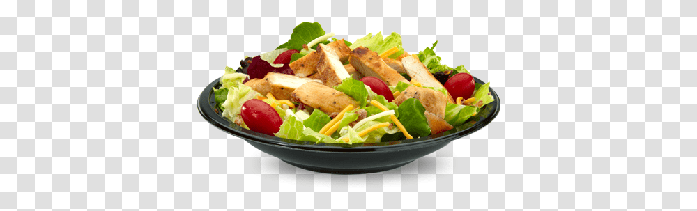 Bacon Ranch Salad Grilled Premium Bacon Ranch Salad, Lunch, Meal, Food, Plant Transparent Png