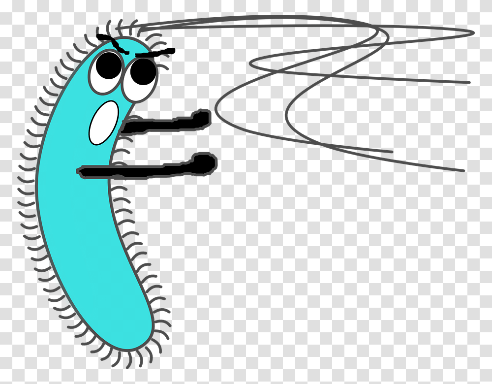 Bacteria, Animal, Gun, Sea Life Transparent Png