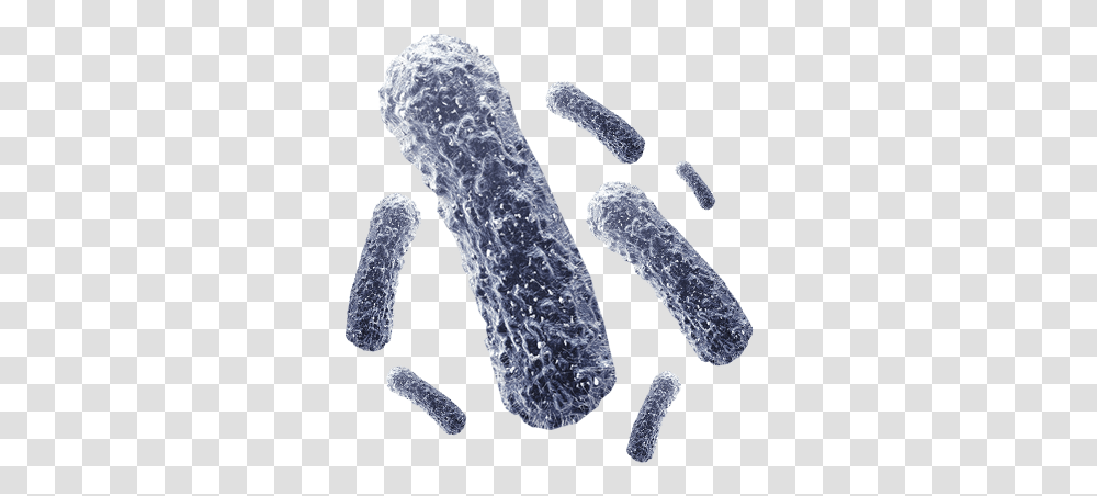 Bacteria Background Background Bacteria, Outdoors, Nature, Ice, Crystal Transparent Png