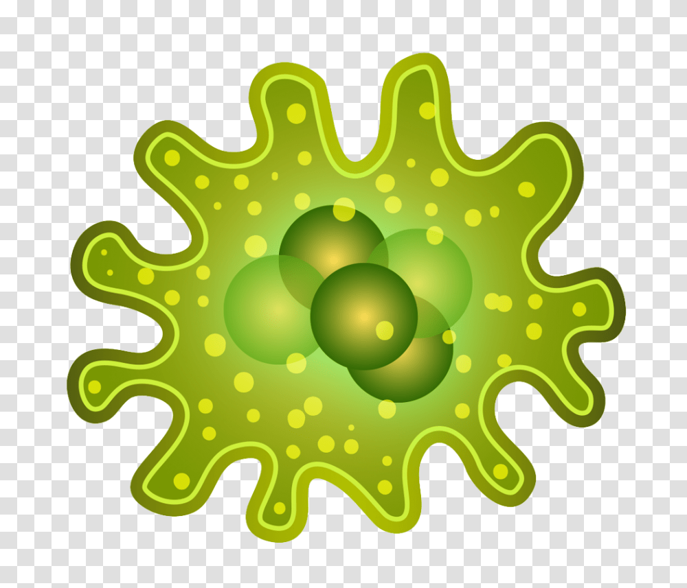 Bacteria Background Bacteria Clipart, Bowl, Leaf, Plant, Machine Transparent Png