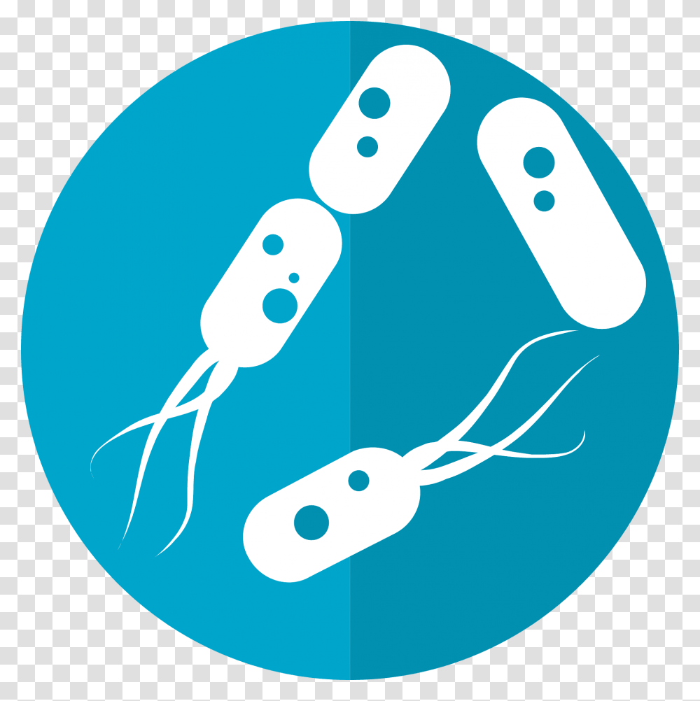 Bacteria Blue Clipart Bacterias Transparent Png