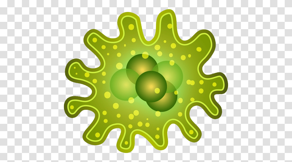 Bacteria, Bowl, Leaf, Plant, Machine Transparent Png