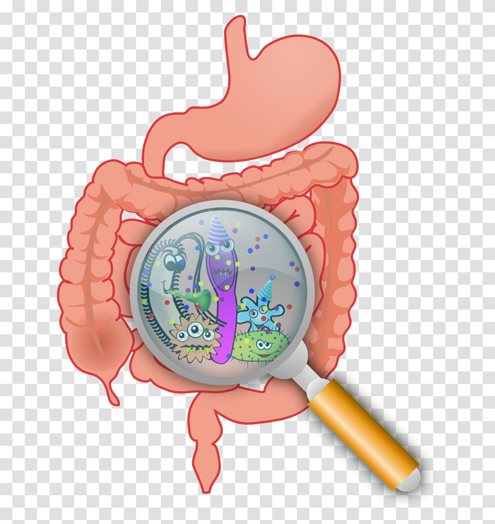 Bacteria Clipart Anaerobic Bacteria, Birthday Cake, Dessert, Food, Heart Transparent Png