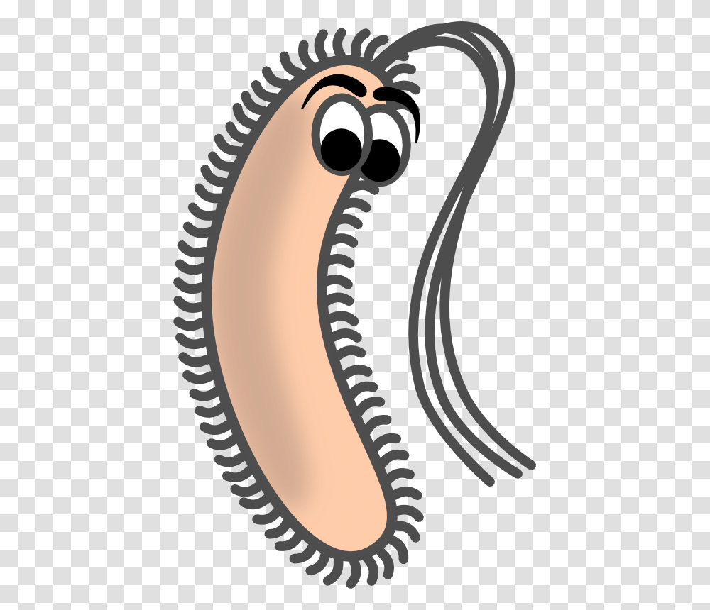 Bacteria Clipart, Electronics, Label Transparent Png