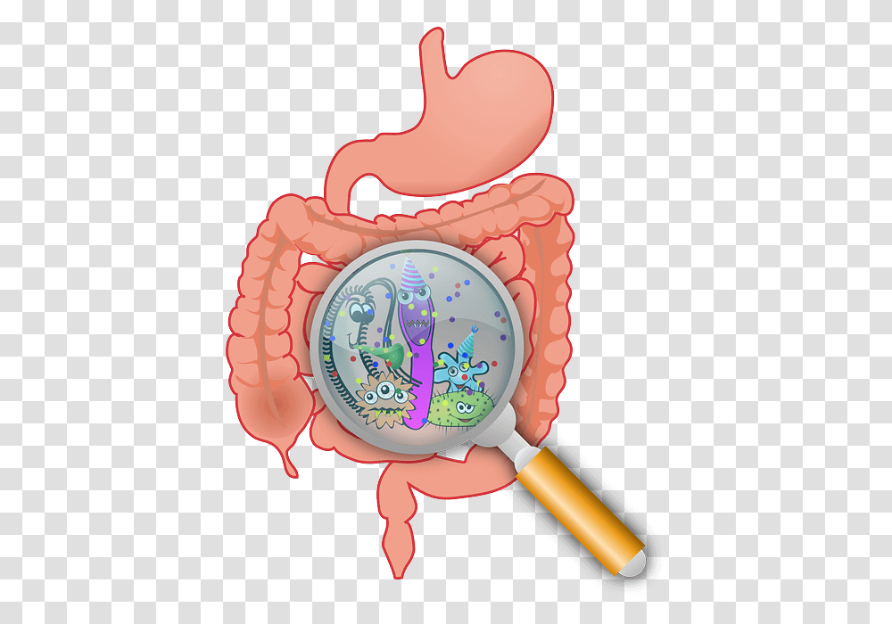 Bacteria Clipart Urinary Tract Infection, Birthday Cake, Dessert, Food, Alarm Clock Transparent Png