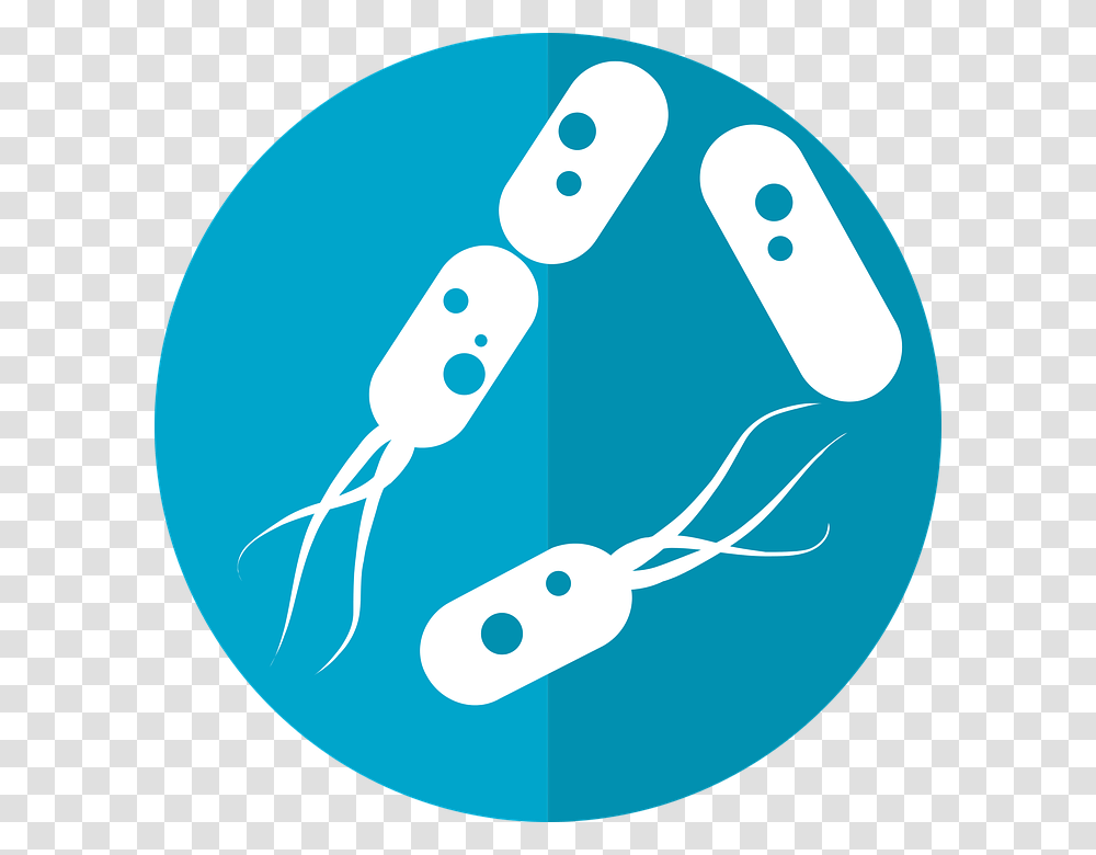 Bacteria, Footprint Transparent Png