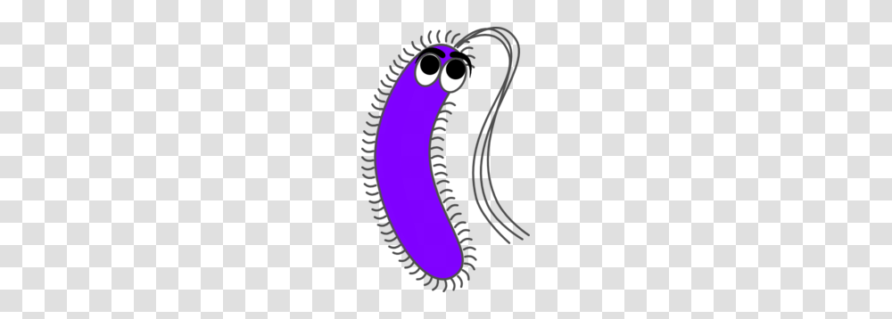 Bacteria Funny Clip Art, Zipper, Rug, Electronics Transparent Png