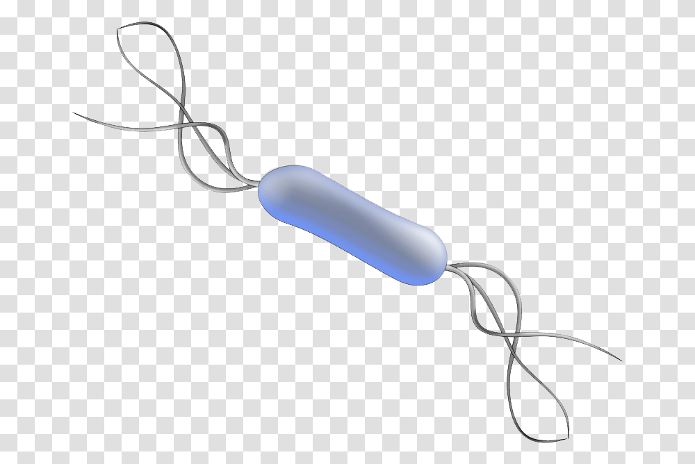 Bacteria High Quality Listeria, Weapon, Weaponry, Bomb, Pill Transparent Png
